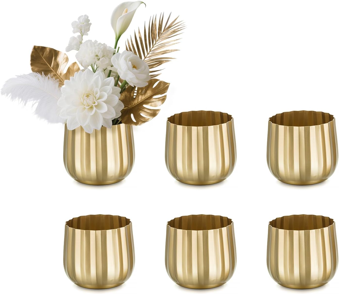 Gardening & Lawn Care